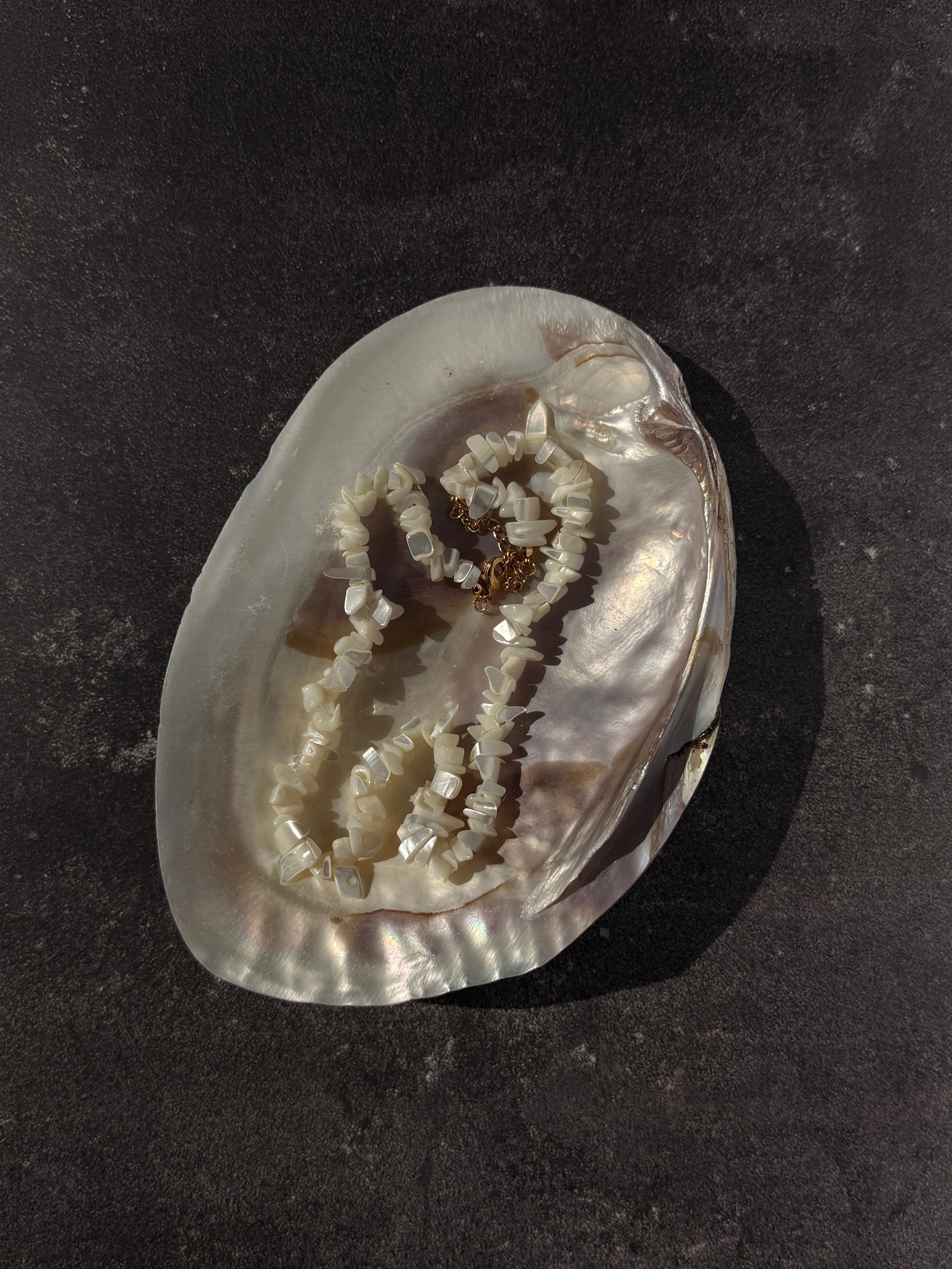 Serene Shell Necklace（預購）